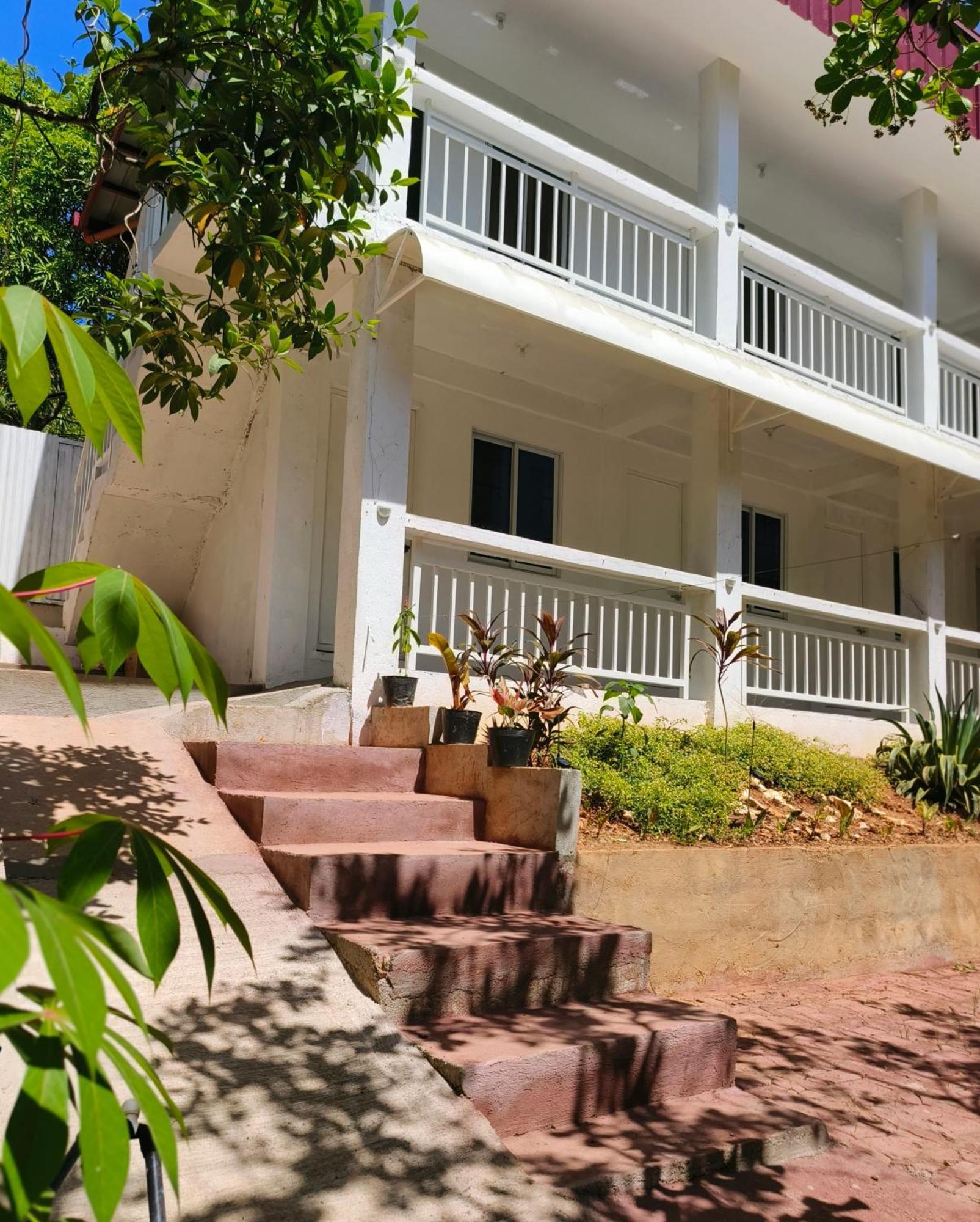 Ani Marie Guest House 科隆 外观 照片